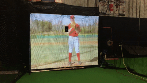 sim GIF 3